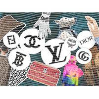 Brand Catalog-ZX 303